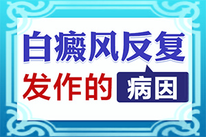 阴囊有白斑[发病的时候有什么症状]白殿疯病的初期图片
